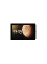 panel10.3.webp